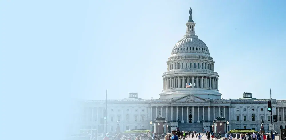 Government & Public Sector