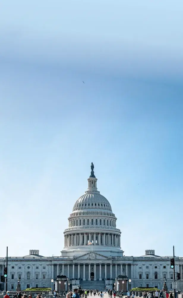 Government & Public Sector